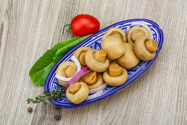 Eingelegter Champignon — Stockfoto