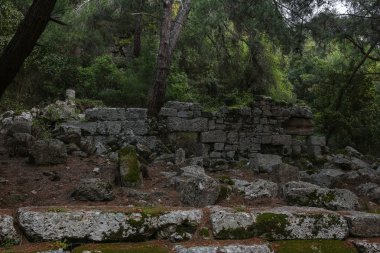 Phaselis harabelerini Türkiye'de