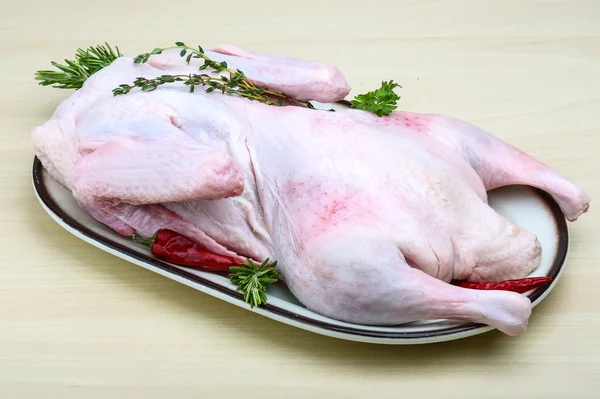 Raw duck — Stock Photo, Image