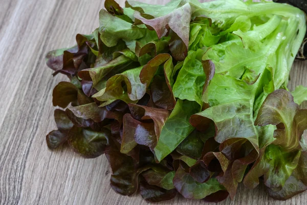 Salada de carvalho — Fotografia de Stock