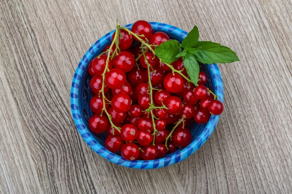 Röda vinbär — Stockfoto