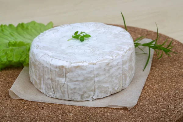 Camembert, ser brie — Zdjęcie stockowe