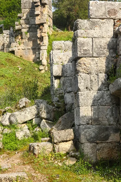 Phaselis harabelerini Türkiye'de