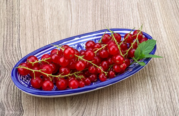 Rote Johannisbeeren — Stockfoto