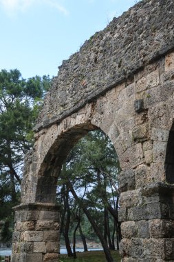 Phaselis harabelerini Türkiye'de