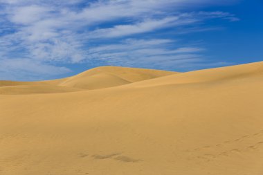 Maspalomas Duna - Kanarya adası Büyük Kanarya Çölü