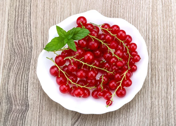 Rote Johannisbeeren — Stockfoto