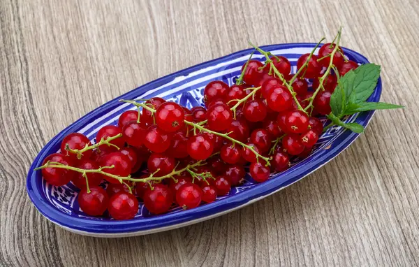 Rote Johannisbeeren — Stockfoto