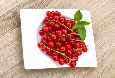 Kırmızı kuş üzümü