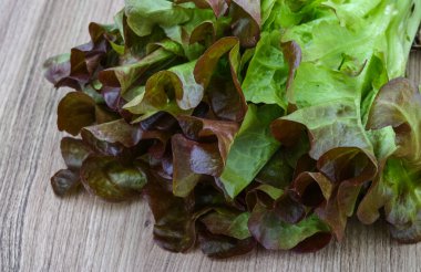 Meşe salata