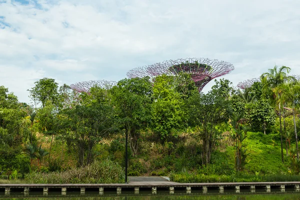 SINGAPORE - MAY 12: Gardens by the Bay on Mar 12, 2014 in Singap — Stock Photo, Image