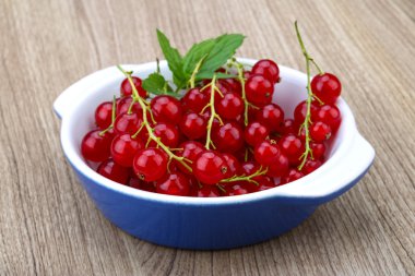 Kırmızı kuş üzümü