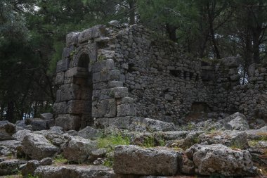Phaselis harabelerini Türkiye'de