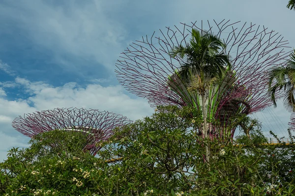 Singapore - 12 maj: trädgårdar vid viken på mar 12, 2014 i singap — Stockfoto