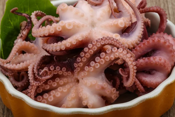 Marinated octopus — Stock Photo, Image