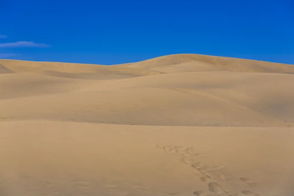 Maspalomas Duna - Wüste auf der Kanarischen Insel Gran Canaria — Stockfoto