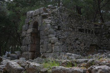 Phaselis harabelerini Türkiye'de