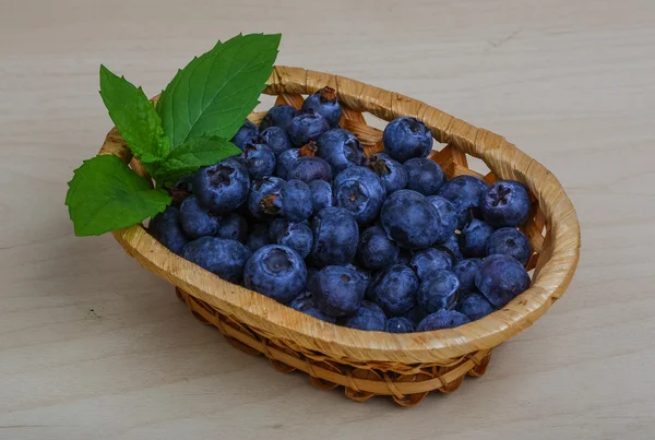 Blueberry — Stock Photo, Image