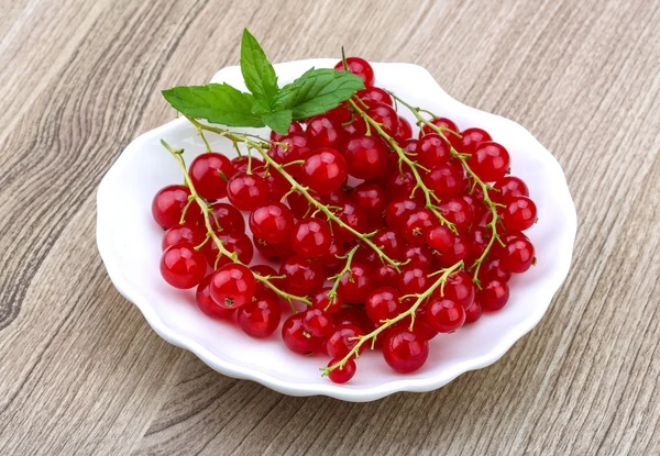 Currants red — Zdjęcie stockowe