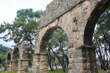 Phaselis harabelerini Türkiye'de