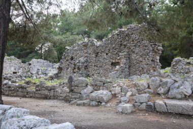 Phaselis harabelerini Türkiye'de