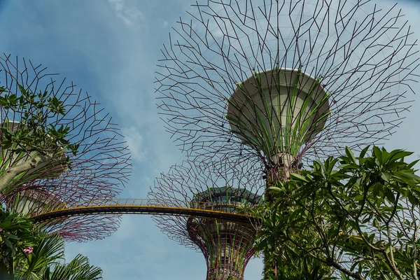 シンガポールの湾による庭園 — ストック写真
