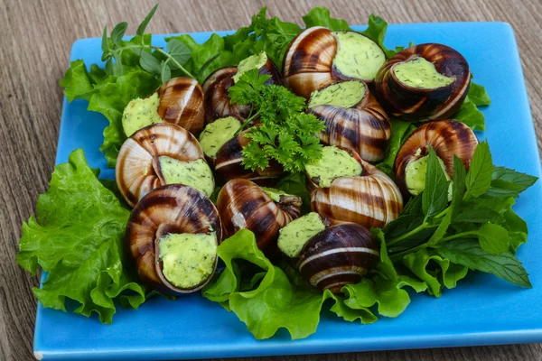 Escargot. — Fotografia de Stock