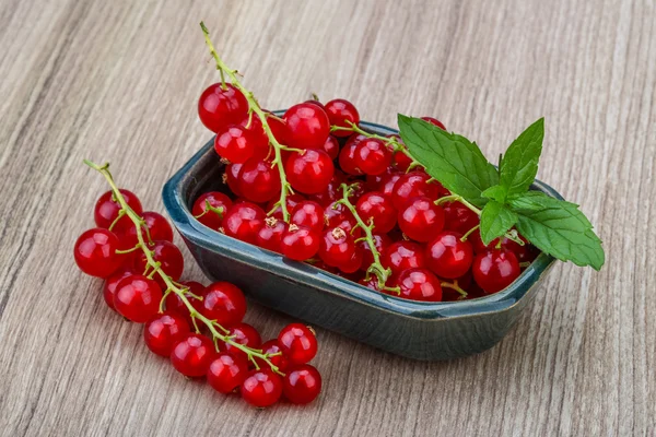 Currants red — Zdjęcie stockowe