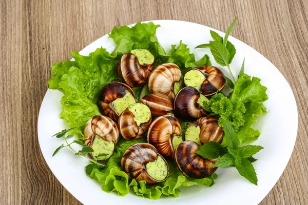 Escargot — Stock Photo, Image