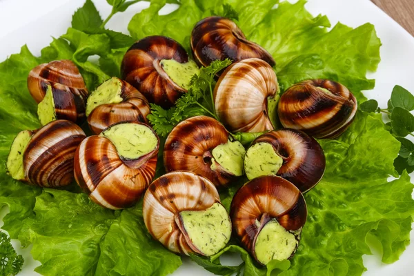 Escargot — Foto Stock