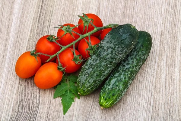 Cucumbers and tomatoes on the branch — Stock Photo, Image