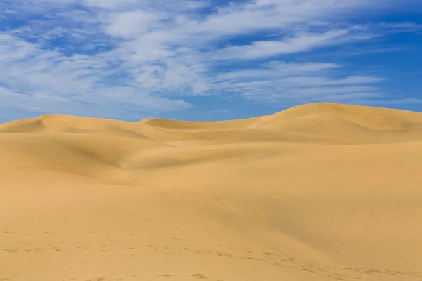 Maspalomas Duna - Пустыня на Канарском острове Гран-Канария — стоковое фото