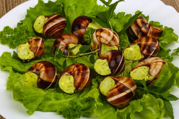 Escargot — Foto Stock