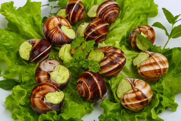 Escargot — Foto Stock