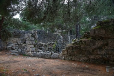 Phaselis harabelerini Türkiye'de