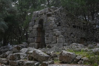 Phaselis harabelerini Türkiye'de