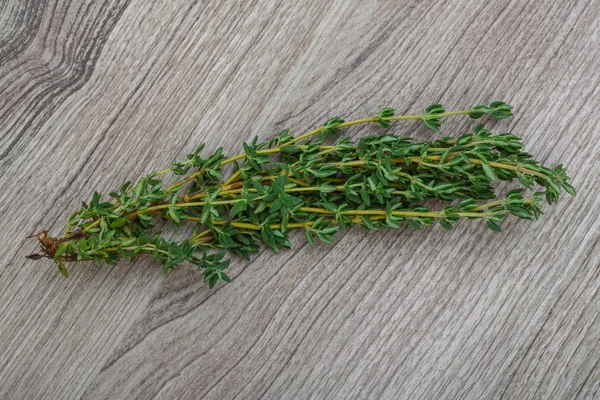 Thyme branch — Stock Photo, Image