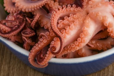 marine edilmiş ahtapot