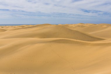 Maspalomas Duna - Kanarya adası Büyük Kanarya Çölü