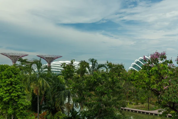 Gardens by the Bay in Singapore — Stock Photo, Image
