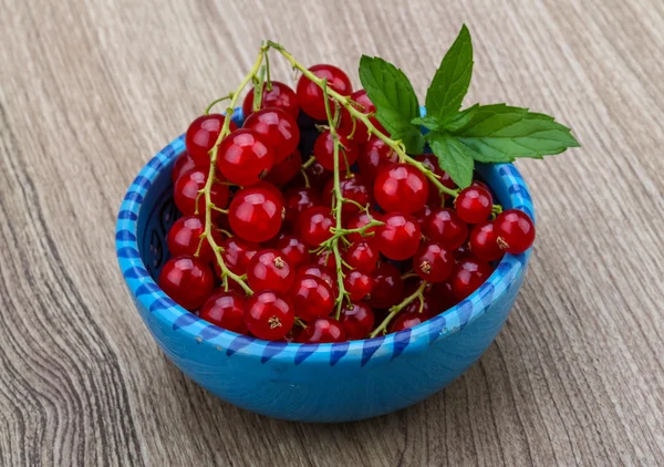 Rote Johannisbeeren — Stockfoto