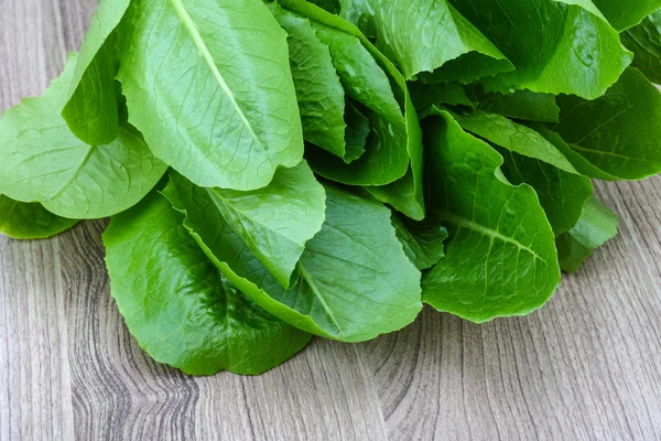 Ensalada Romano hojas — Foto de Stock