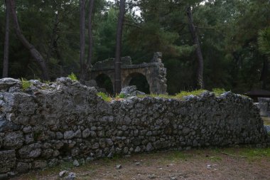Phaselis harabelerini Türkiye'de