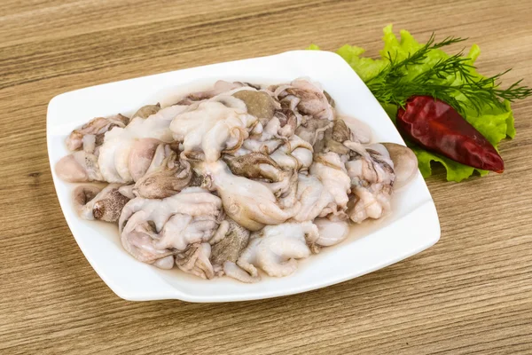 Raw baby octopus — Stock Photo, Image