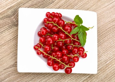 Kırmızı kuş üzümü