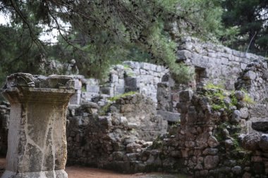 Phaselis harabelerini Türkiye'de