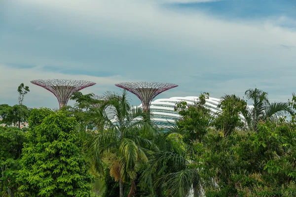 Gardens by the Bay in Singapore. — Stock Photo, Image