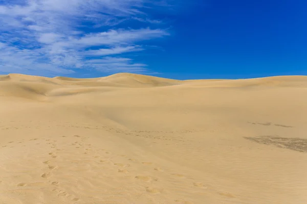 Maspalomas Duna - Kanarya adası Büyük Kanarya Çölü — Stok fotoğraf