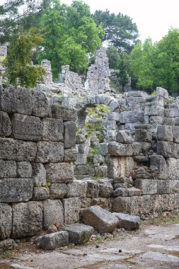 Phaselis harabelerini Türkiye'de