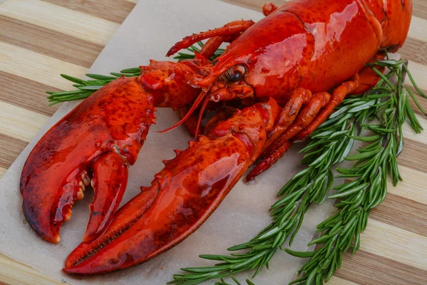 Boiled Lobster with rosemary — Stock Photo, Image